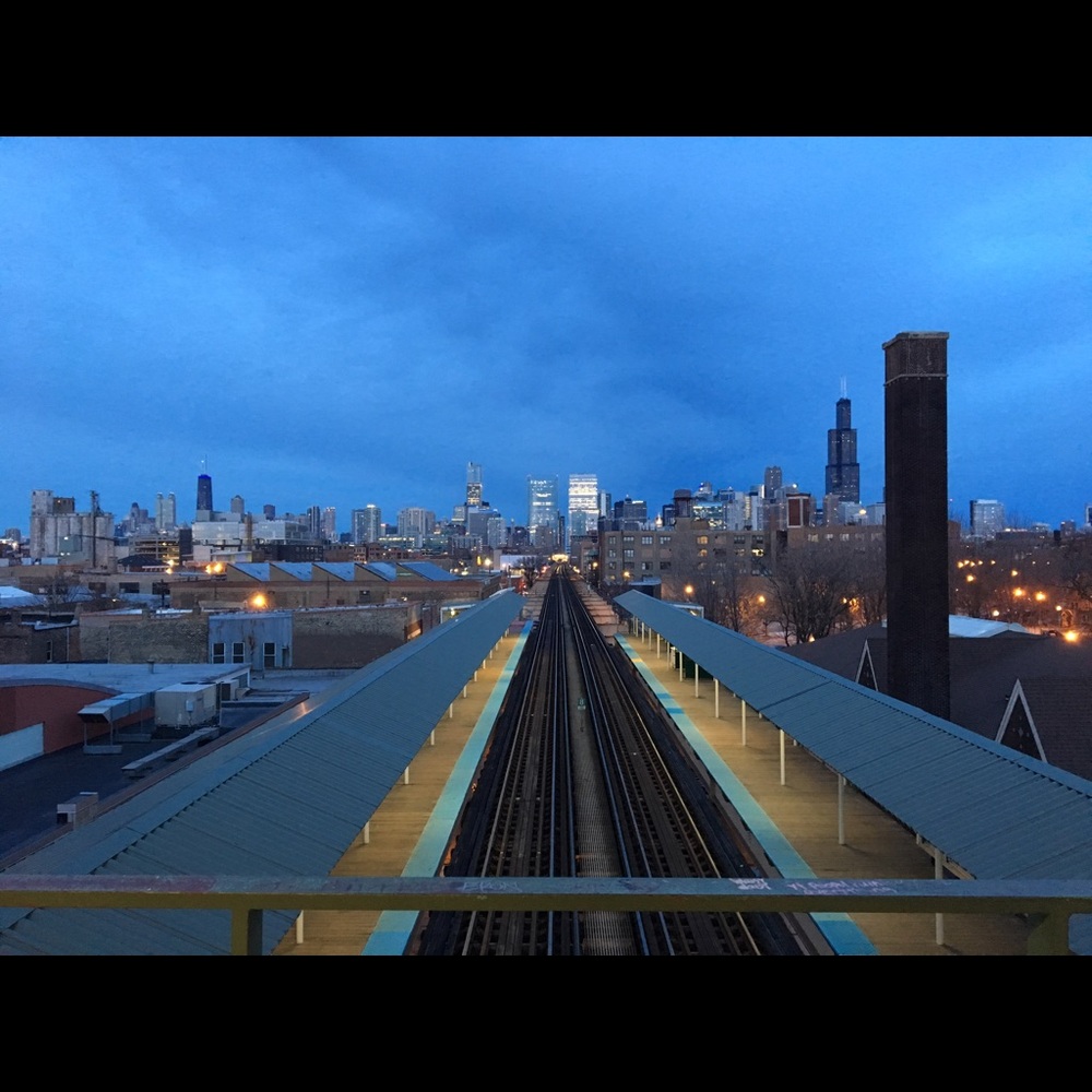 Meet your Posher, Amelia