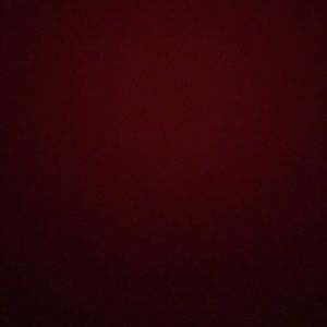 Meet your Posher, Kenzi