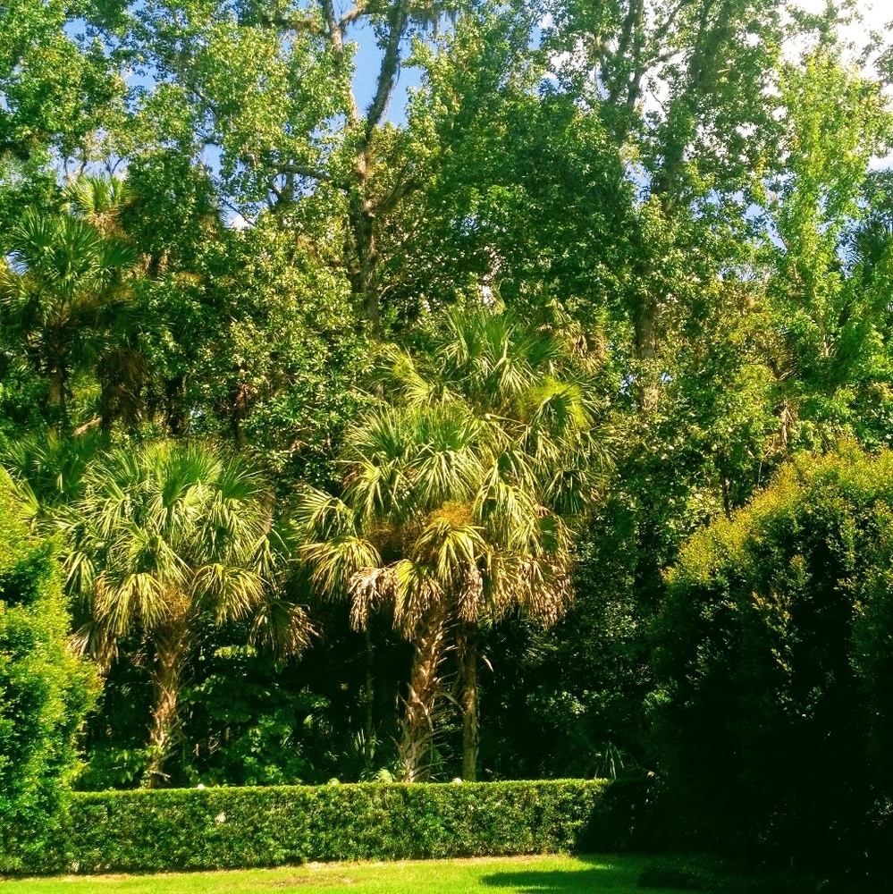 Meet your Posher, Ella