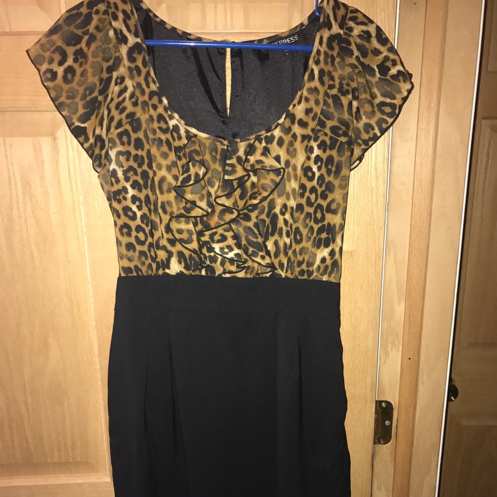 Express Cheetah Print Ruffle-Top Dress