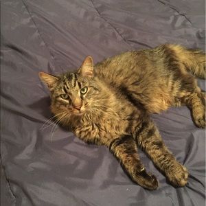 Meet your Posher, Heather