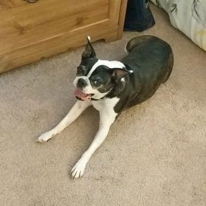 Meet your Posher, Jonathan