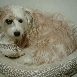 Meet your Posher, Cheryl