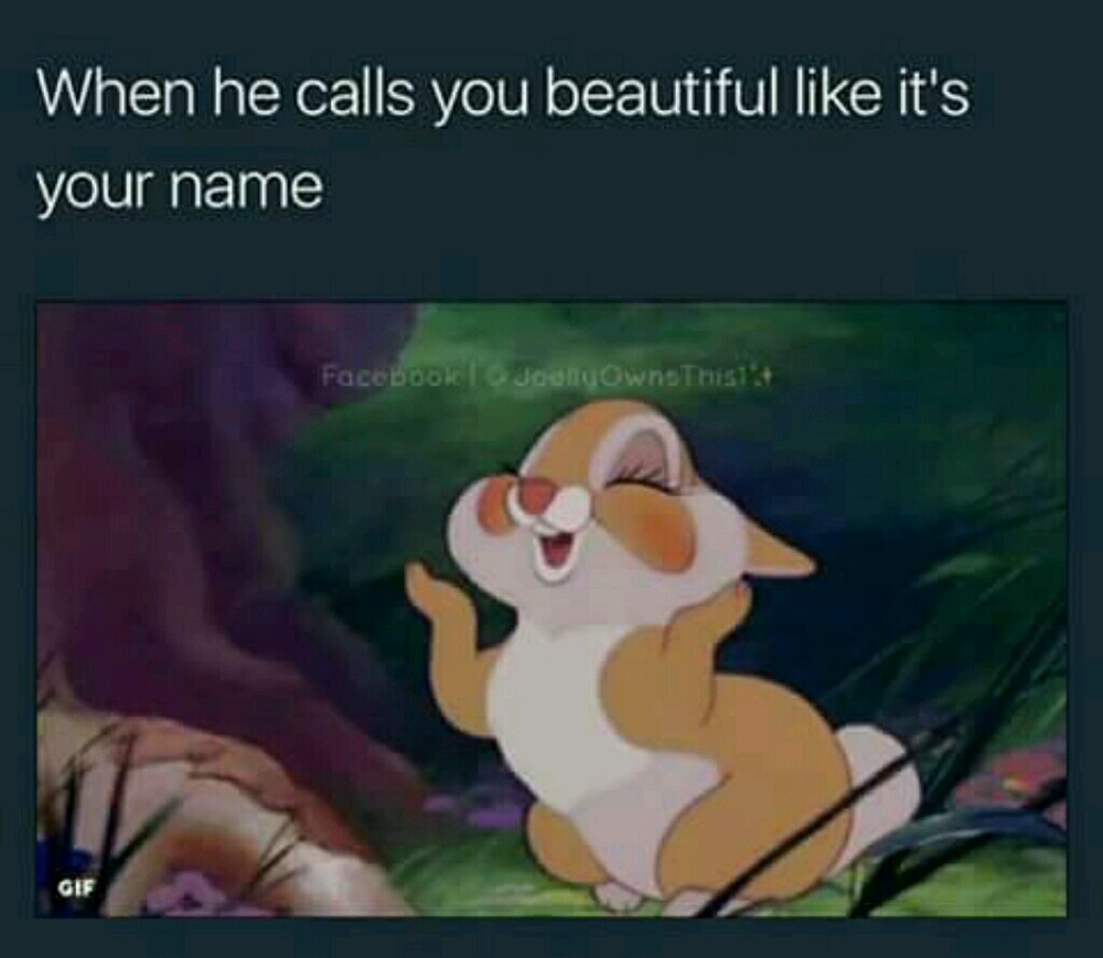 Meet your Posher, Dori