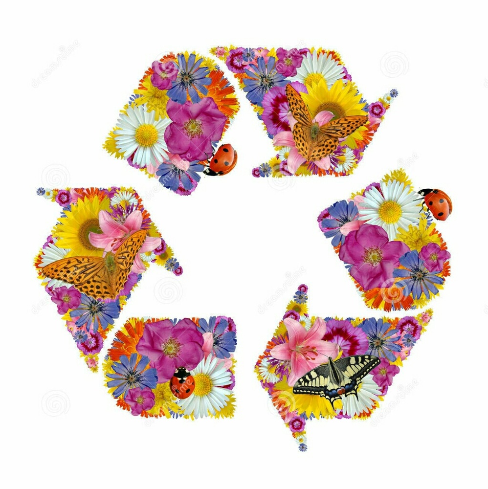 ♻️ I Recycle Shipping Materials ♻️