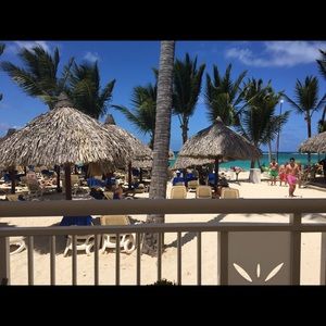 Meet your Posher, Dahlia