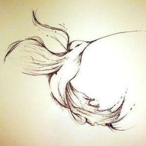 Meet your Posher, Aenoy