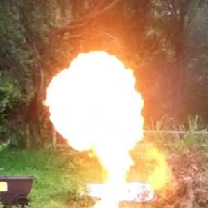 Meet your Posher, Ted