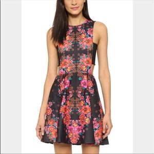 Ronny Kobo Yanni Dress