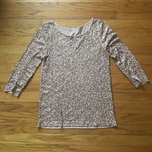 JCrew blush sequin shirt