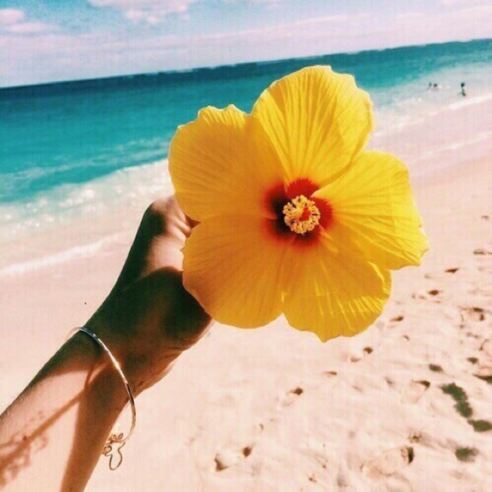 Meet your Posher, Gabrielle