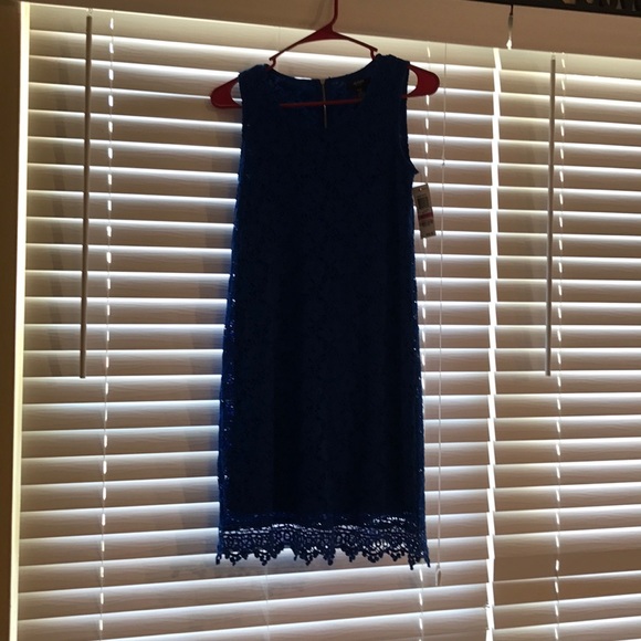 Beautiful Alfani Blue Lace Dress - Picture 5 of 7