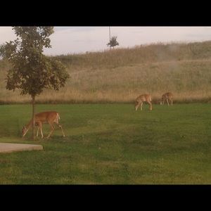 Meet your Posher, Bianca