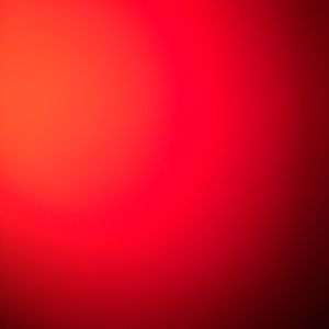 Meet your Posher, Barb