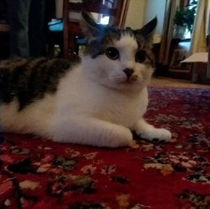 Meet your Posher, Jasmine