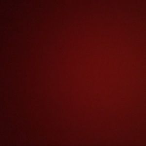 Meet your Posher, Leyla