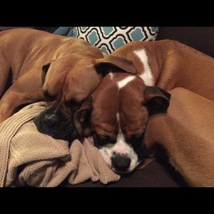 Meet your Posher, Heather