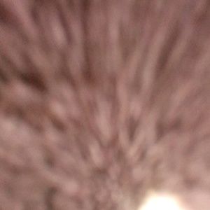 Meet your Posher, Janelly