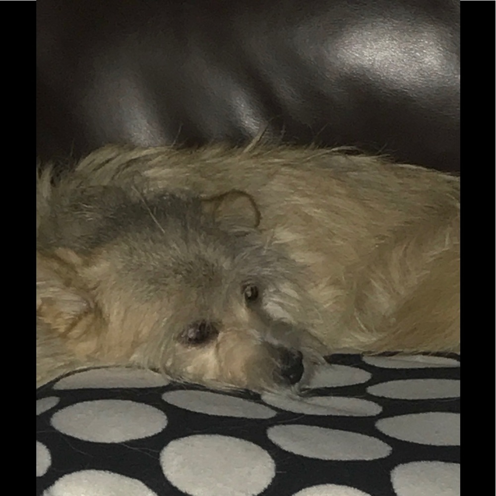 Meet your Posher, Joseph