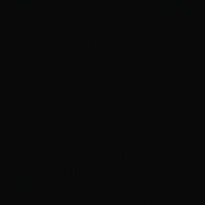 Meet your Posher, Vernae