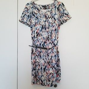 The Limited Colorful Shift Dress