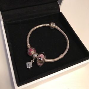 Pandora Bracelet with charms