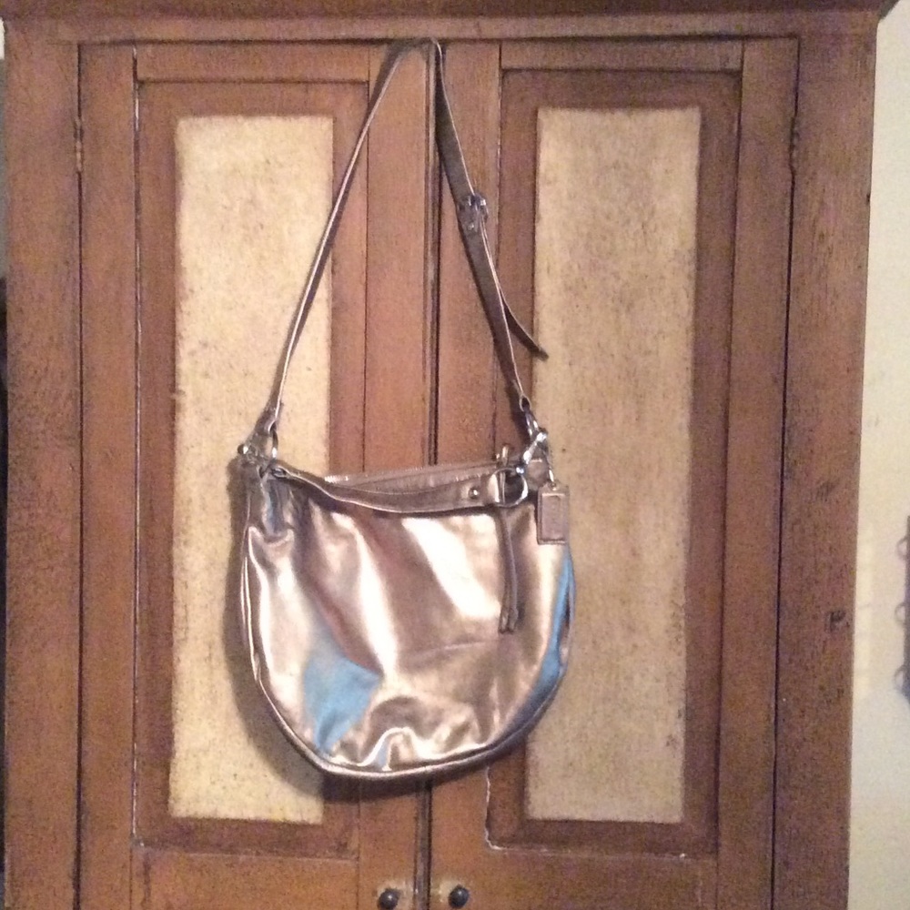 Coach platinum handbag