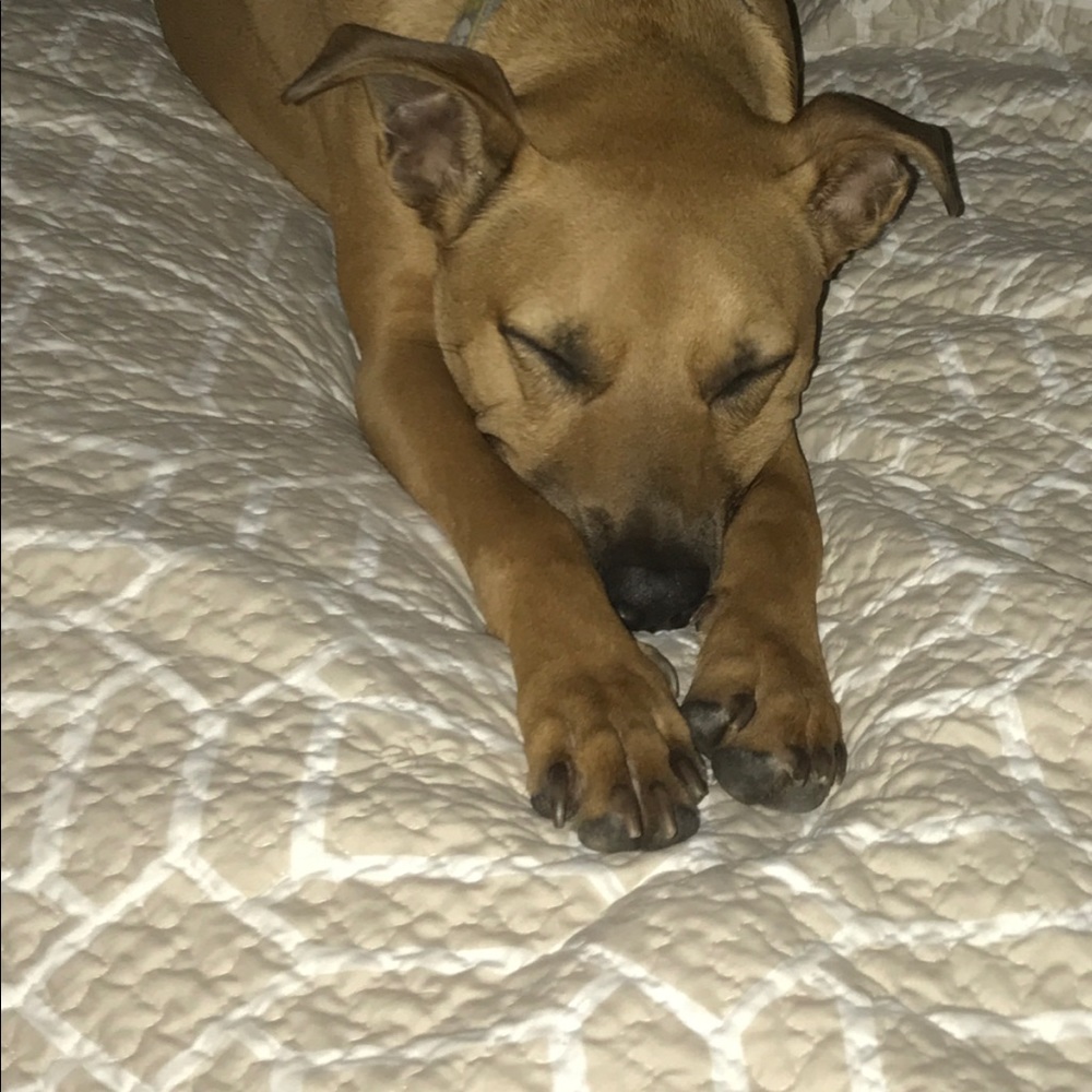 Meet your Posher, Lauren