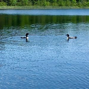 Meet your Posher, Connie