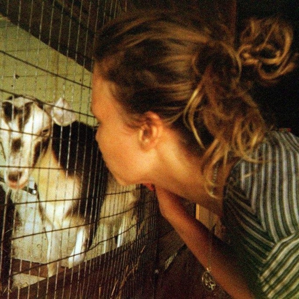 Meet your Posher, Tori