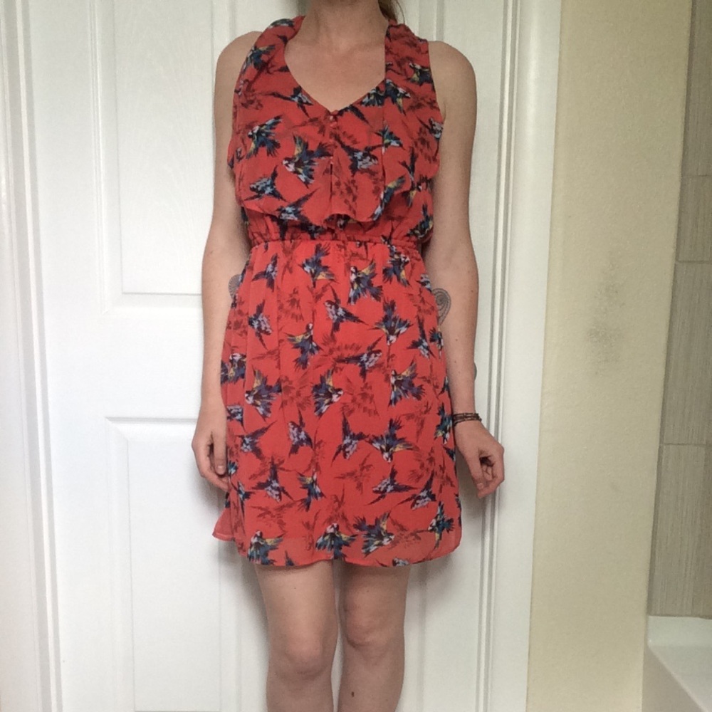 Salmon Sparrow Print Dress