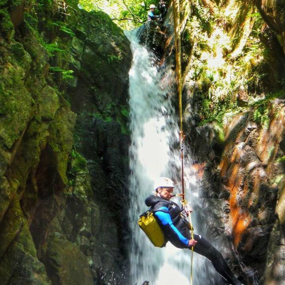 Meet your Posher, Pam