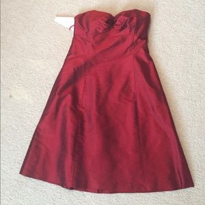 Silk dress- great for Christmas &holiday parties!