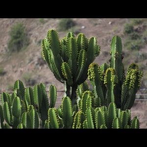 Meet your Posher, Hadley