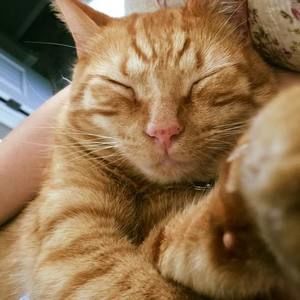 Meet your Posher, Nurah