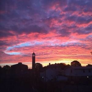 Meet your Posher, Ali