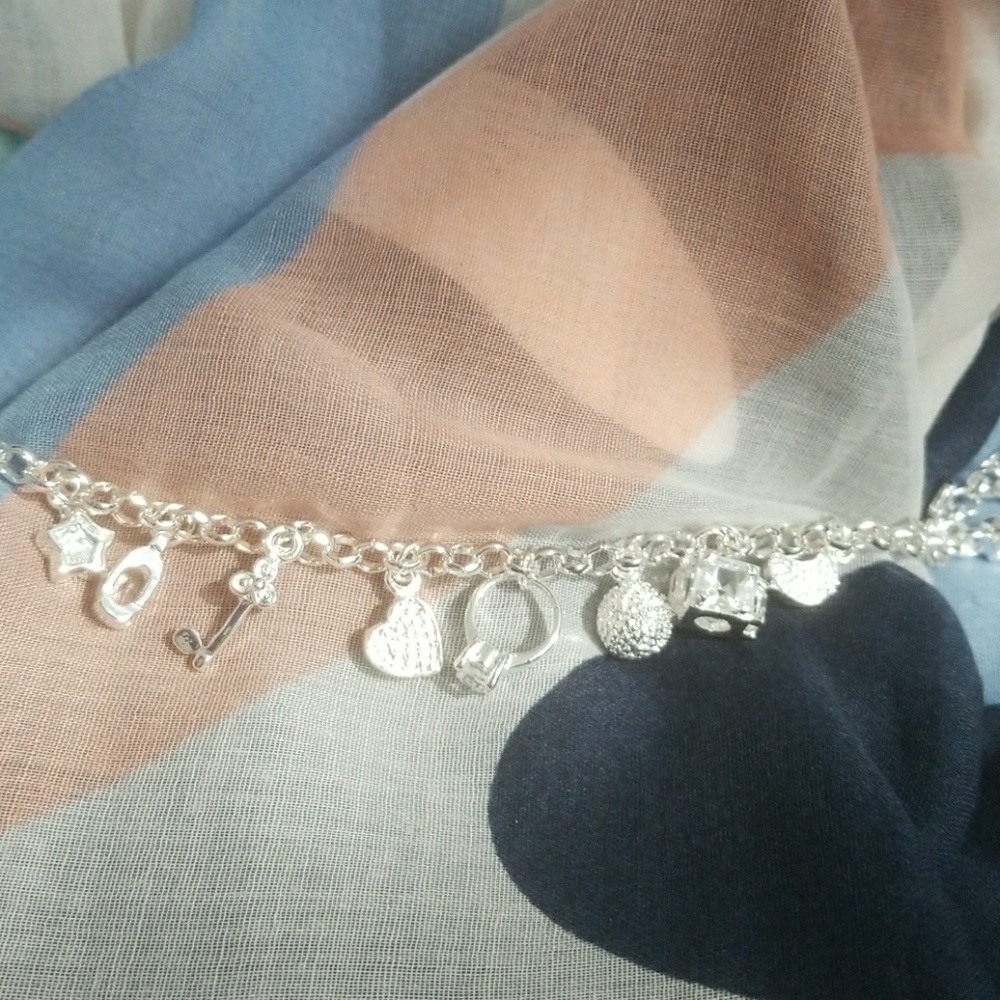 NWT Silver Charm Bracelet