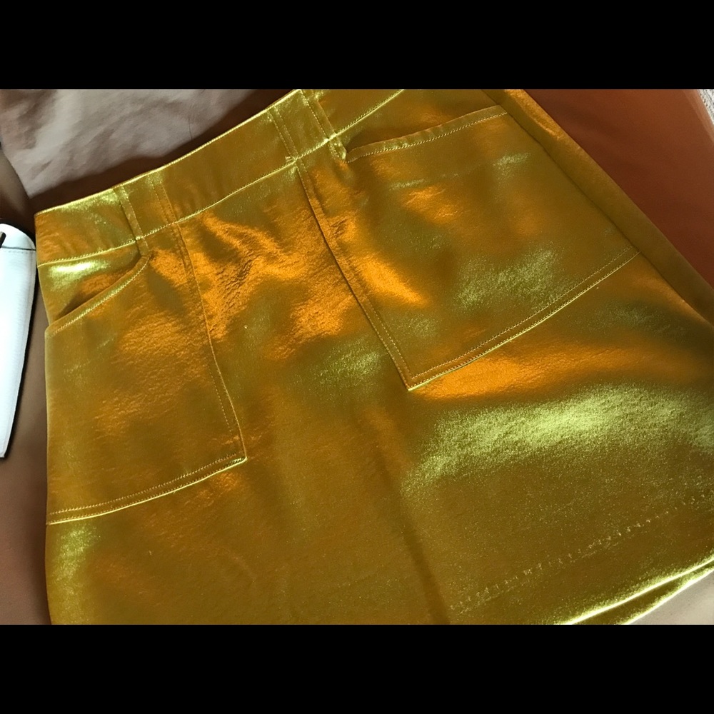 NWOT Metallic skirt. [Silent + Noise]