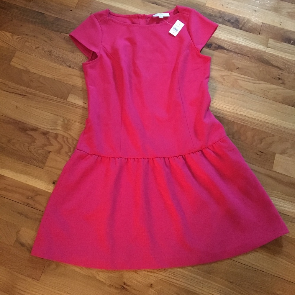🎉🎉 NWT ANN TAYLOR LOFT DRESS 🎉🎉