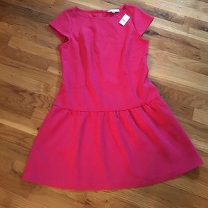 🎉🎉 NWT ANN TAYLOR LOFT DRESS 🎉🎉