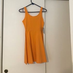 Express skater dress new with tags
