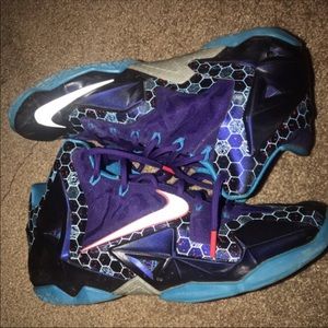 Lebron Summit Lake Hornets