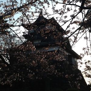 Meet your Posher, Joanna