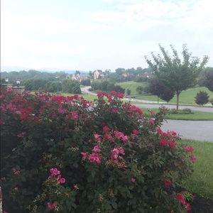 Meet your Posher, May