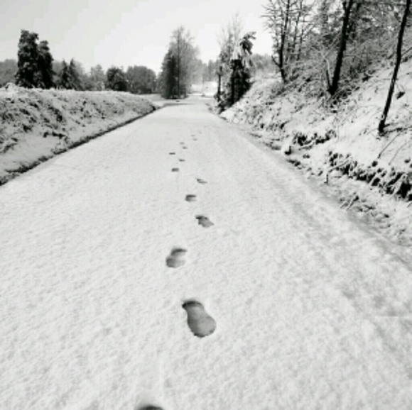 💫New 💫 Follow Game - Picture 2 of 4