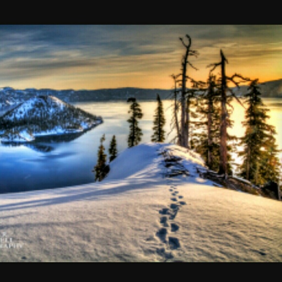 💫New 💫 Follow Game - Picture 3 of 4