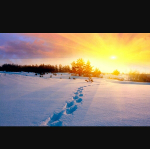 💫New 💫 Follow Game - Picture 4 of 4