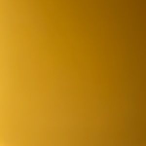 Meet your Posher, Peyton