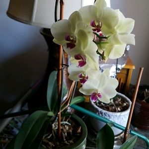 Meet your Posher, Deborah