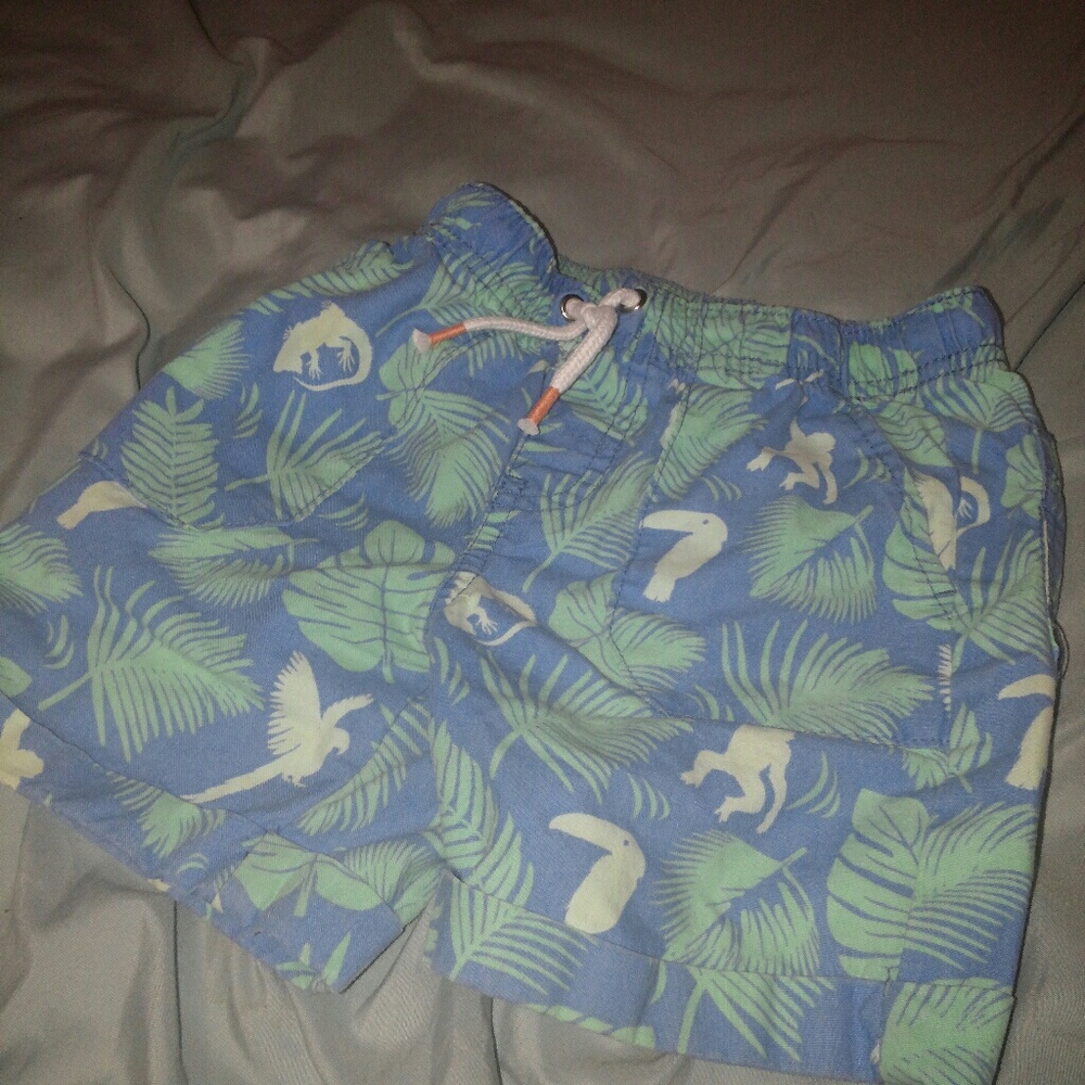Toddler boy shorts